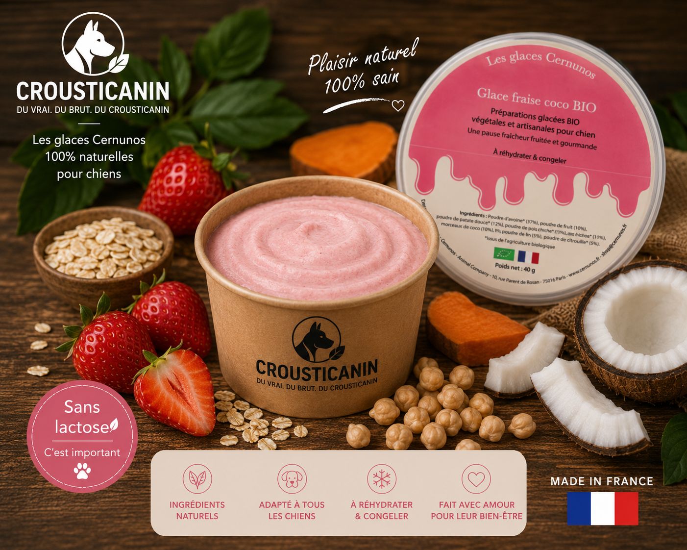 GLACE EN POUDRE FRAISE COCO BIO