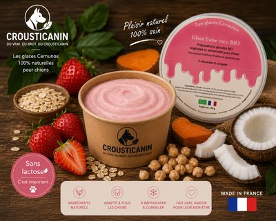 GLACE EN POUDRE FRAISE COCO BIO