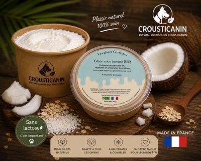 GLACE EN POUDRE COCO INTENSE BIO