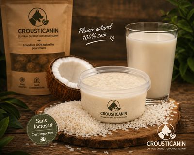 GLACE EN POUDRE RIZ &amp; COCO