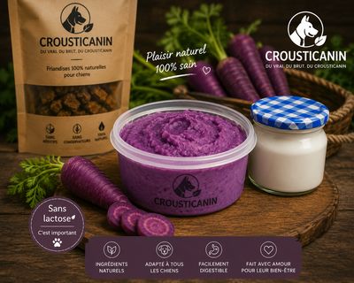 GLACE EN POUDRE CAROTTE &amp; VIOLETTE
