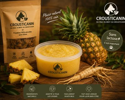 GLACE EN POUDRE ANANAS &amp; GINGSENG