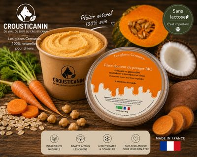 GLACE EN POUDRE DOUCEUR DU POTAGER BIO
