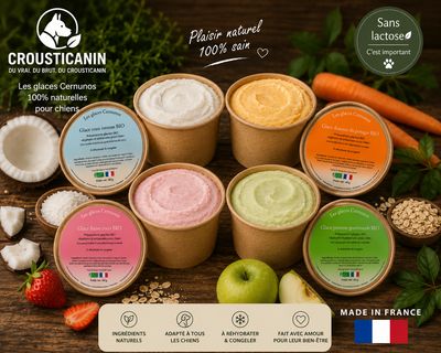 GLACE EN POUDRE DOUCEUR DU POTAGER BIO