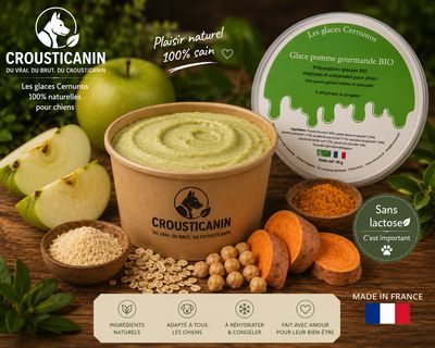 GLACE EN POUDRE POMME GOURMANDE BIO