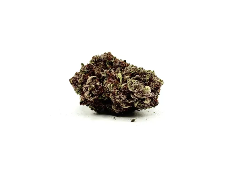 THCA - Exotic Flower - Oreoz Mai Tai