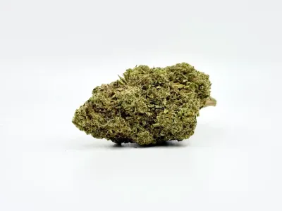 THCA - Top Shelf Flower - Orange Push Pop