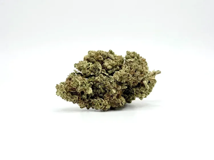 THCA - Mid - Flower - Gello Shotz