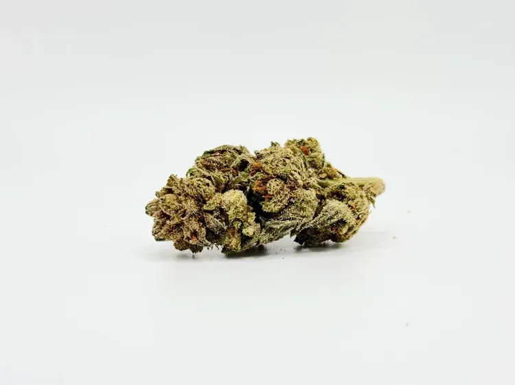 THCA - Small Flower - Biscotti