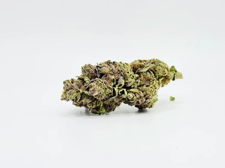 THCA - Small Flower - Birthday Cake