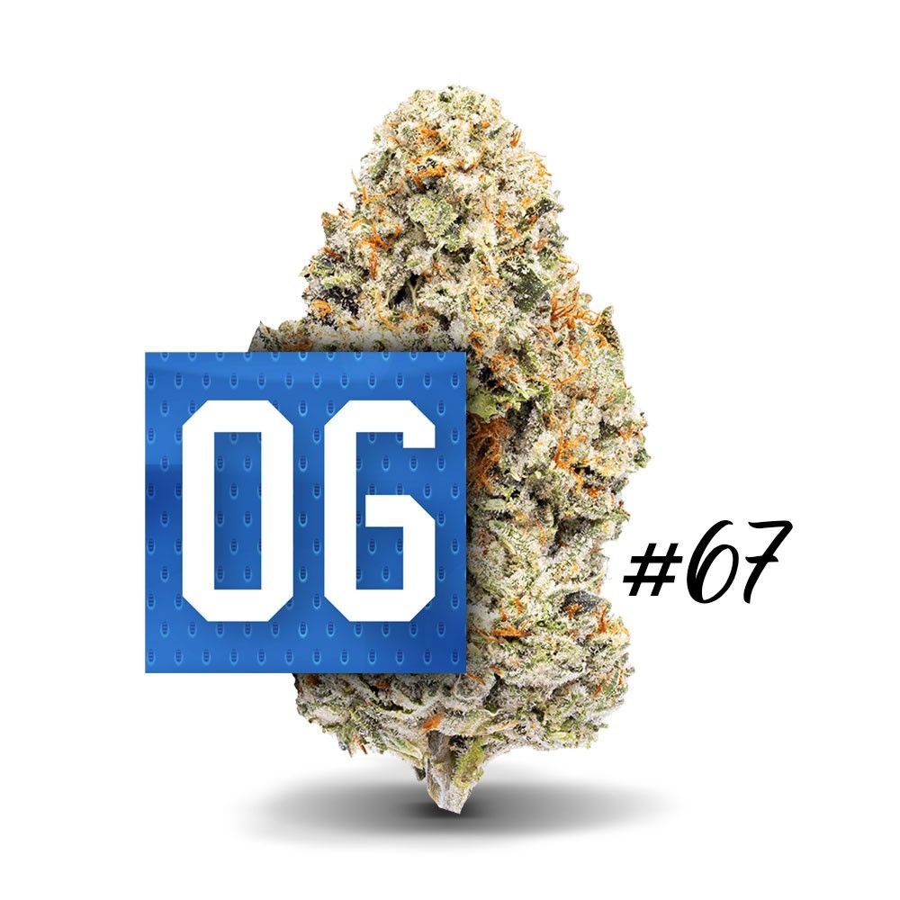 06 OG #67 Premium Flower