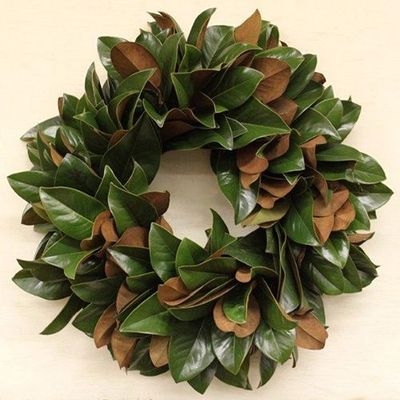 The Classic 20-inch Lucknow Southern Magnolia Wreath