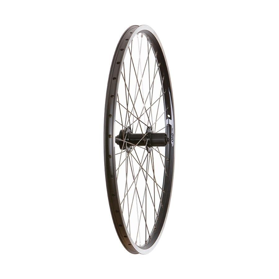Wheel Shop, Evo Tour 19 Noir/ Formula DC-22, Roue, Arrière, 26&#39;&#39; / 559, Trous: 36, QR, 135mm, Jante et disque IS 6-boulons, Shimano HG