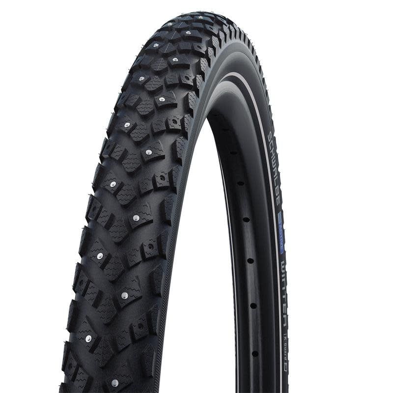 Schwalbe Winter