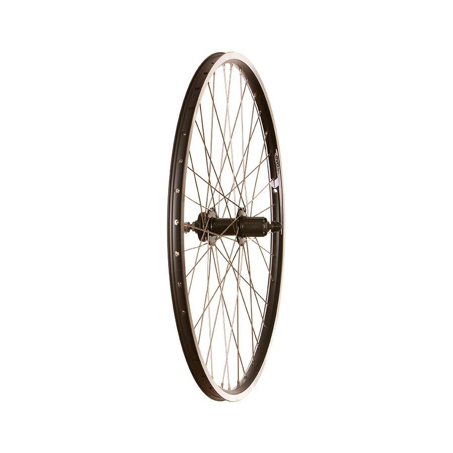 Wheel Shop, Evo Tour 19 Noir, Roue, Arrière, 27.5&#39;&#39; / 584, Trous: 36, QR, 135mm, Jante et disque IS 6-boulons, Shimano HG