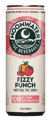Fizzy Punch