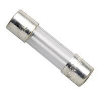 0.25A 250V 5x20mm Fast-Acting Glass Fuse (4-Pack)