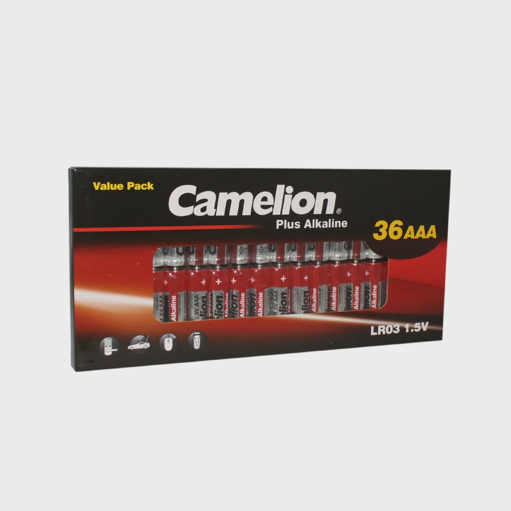 AAA Alkaline Batteries 36 Pack