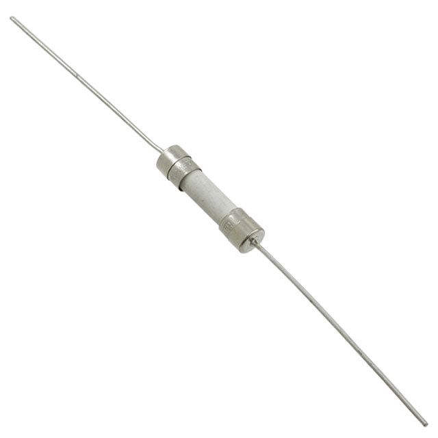 10A 5x20mm Slow Blow Glass Fuse with Axial Leads