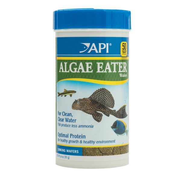 API Algae Eater Wafers 6.4 OZ