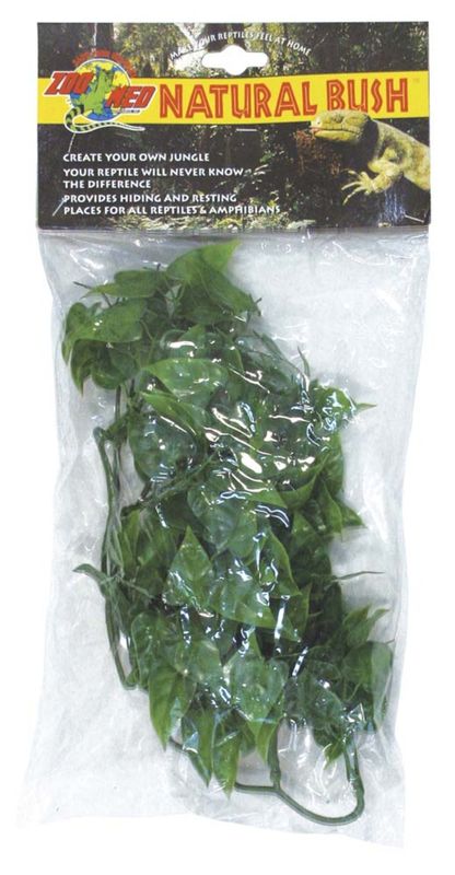 Zoo Med Mexian Phyllo, Small