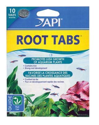 API Root Tabs 10CT