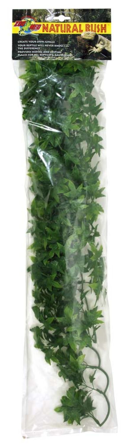 Zoo Med Large Congo Ivy