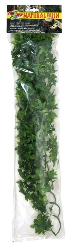 Zoo Med Large Congo Ivy