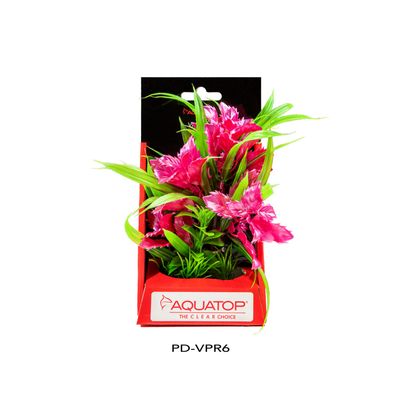 Aquatop Vibrant Passion Rose Plant 6&quot;