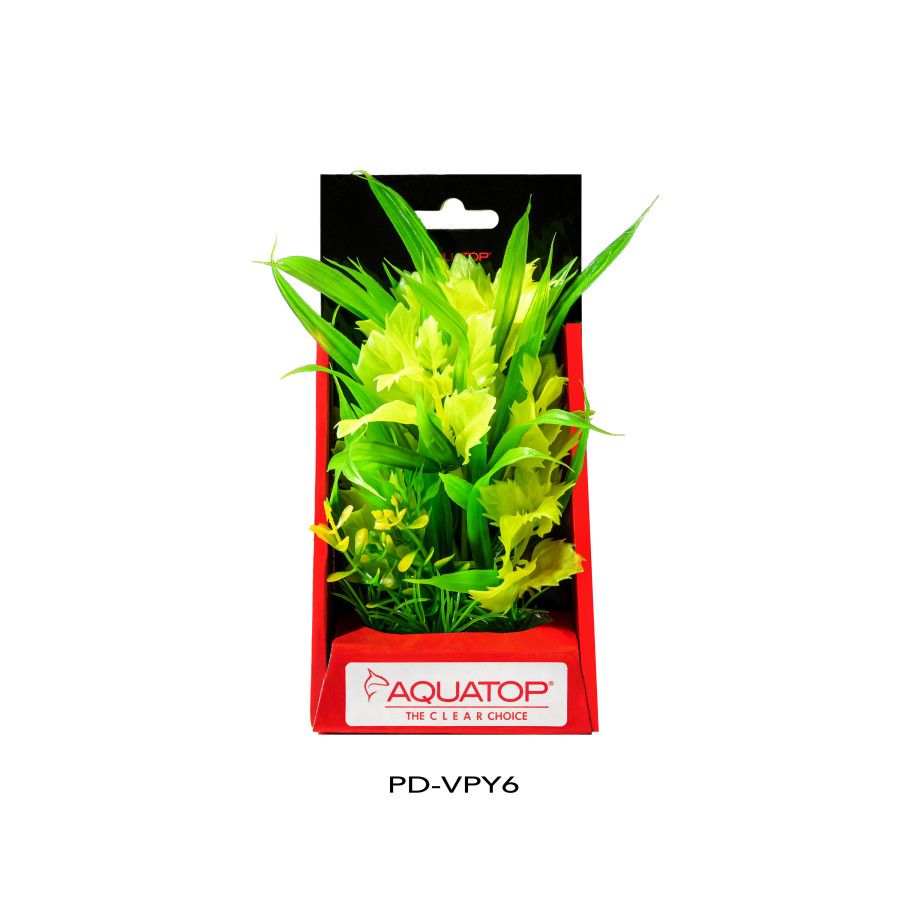 Aquatop Vibrant Passion Yellow Plant 6&quot;