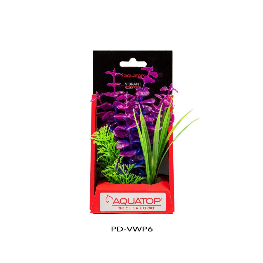 Aquatop Vibrant Wild Purpleberry Plant 6&quot;