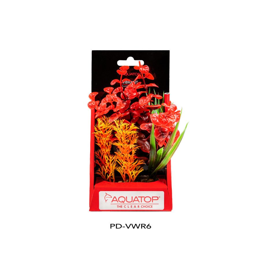 Aquatop Vibrant Wild Red Plant 6&quot;