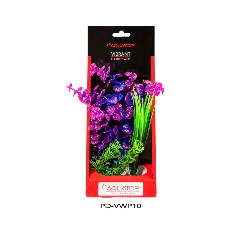 Aquatop Vibrant Wild Purpleberry Plant 10&quot;