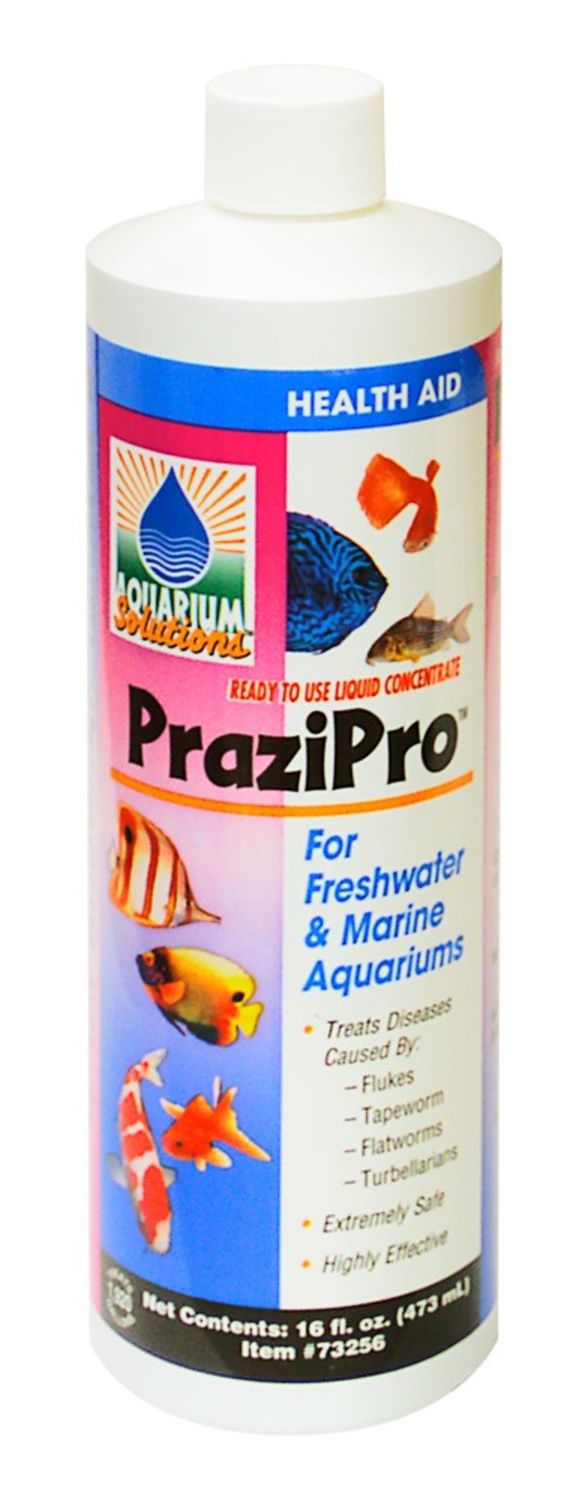 Hikari PraziPro 16oz
