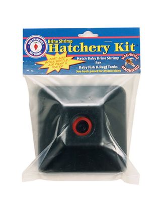 SFB Brine Shrimp Hatchery Kit