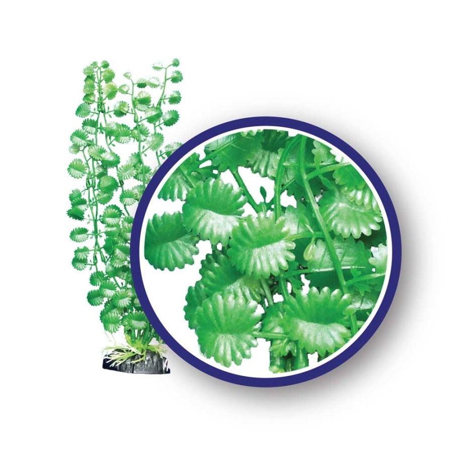 WECO Japanese Cress 12"