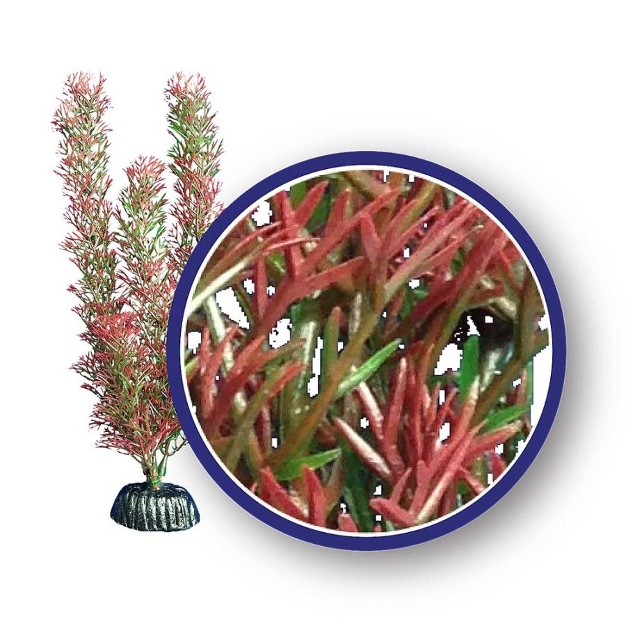 WECO Red Foxtail 6"