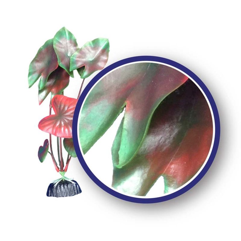 WECO Red Tiger Lotus 18"