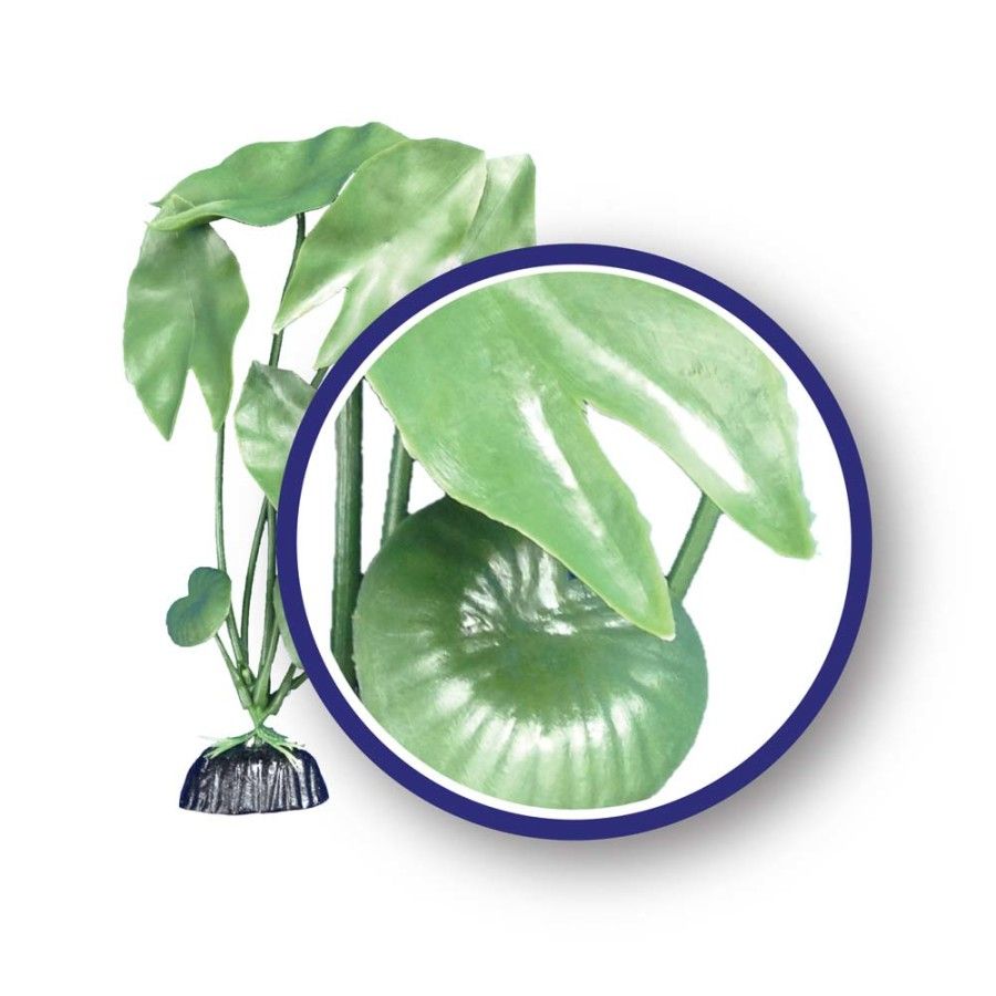 WECO Green Tiger Lotus 18"