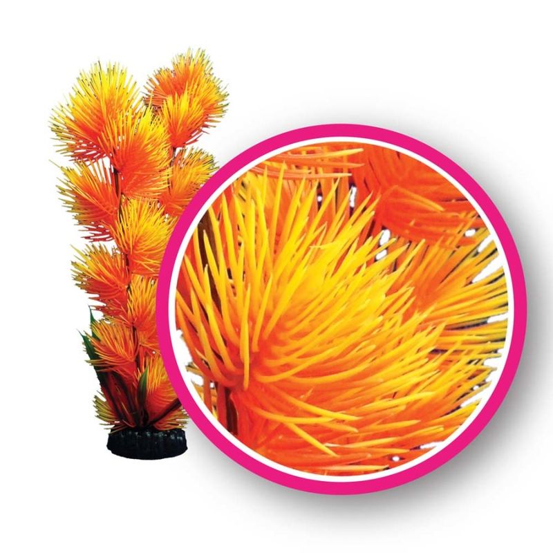 WECO Orange Pom Pom Plant 6"