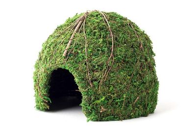 Galapagos Mossy Dome Terrarium Hideaway 9 inch