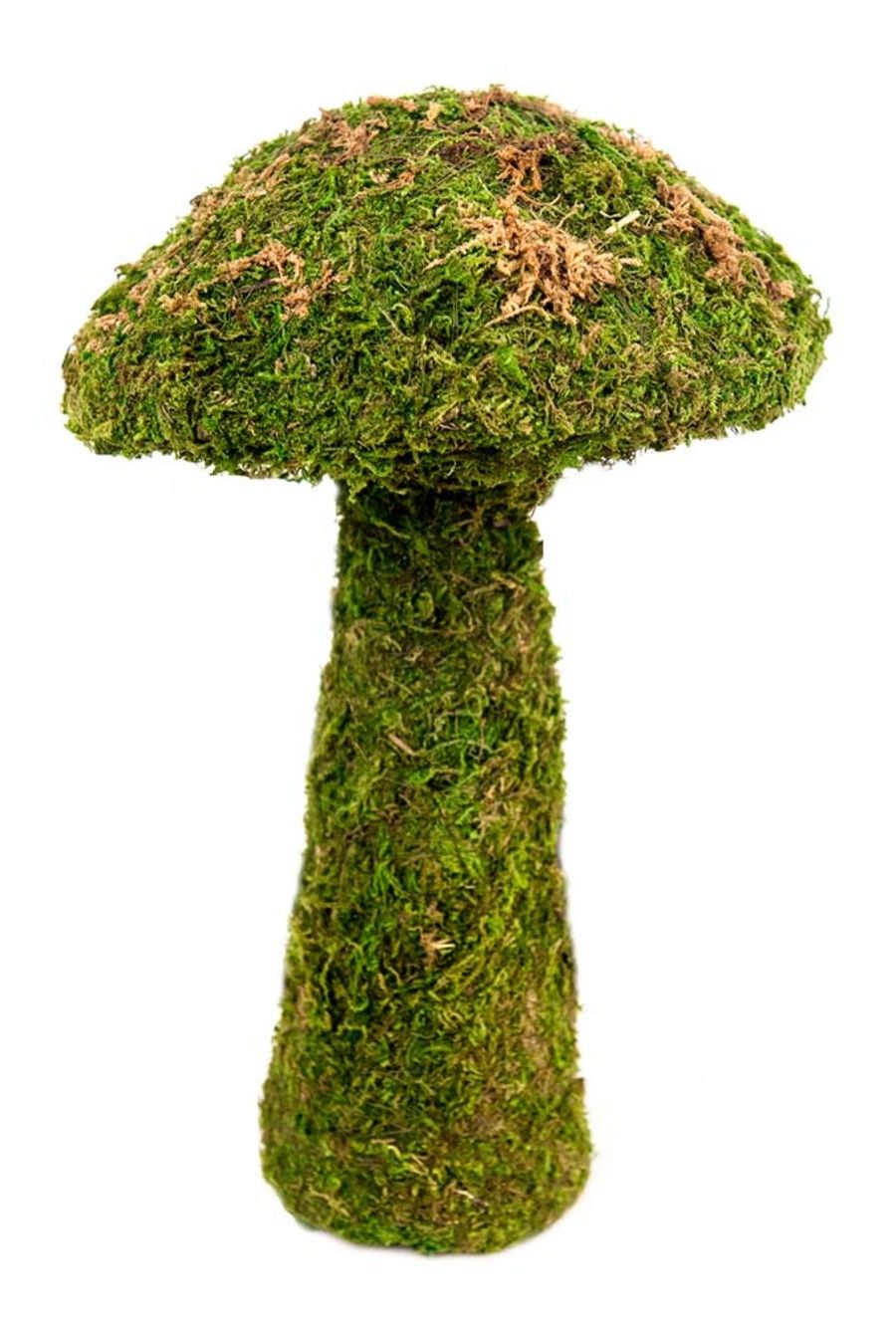 Galapagos Moss Mushroom Fresh Green Small 11 inch