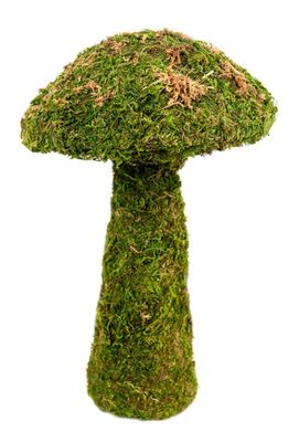 Galapagos Moss Mushroom Fresh Green Small 11 inch