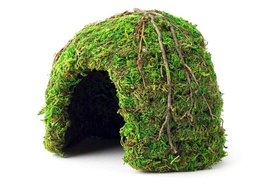 Galapagos Mossy Dome Hideaway Fresh Green 6 inch