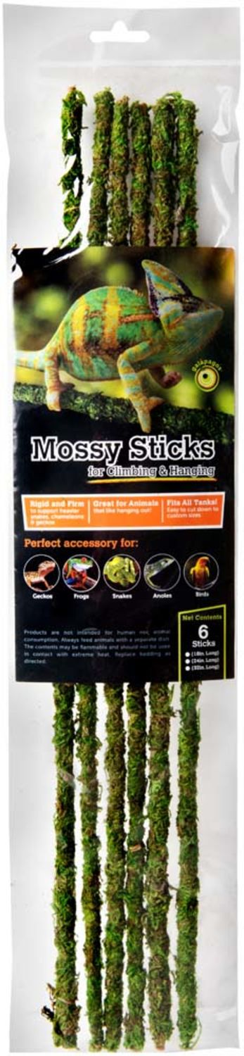 Galapagos Mossy Sticks Terrarium Ornament 18 inch 6 ct