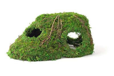 Galapagos Sapa Corner Hide Terrarium Hideaway Fresh Green 10 inch
