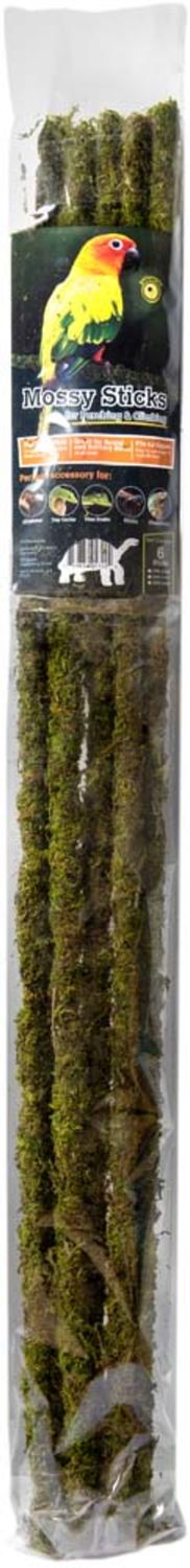 Galapagos Mossy Sticks Terrarium Ornament 32 in 6 ct