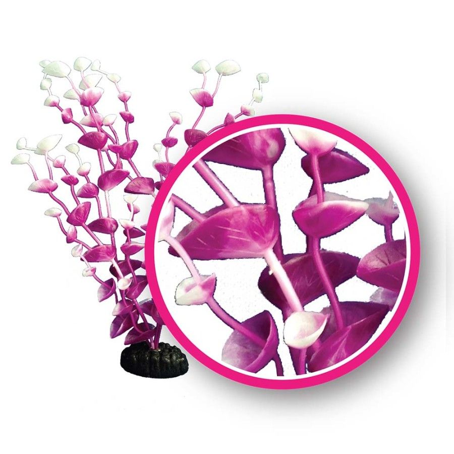 WECO Magenta Tulips 9&quot;