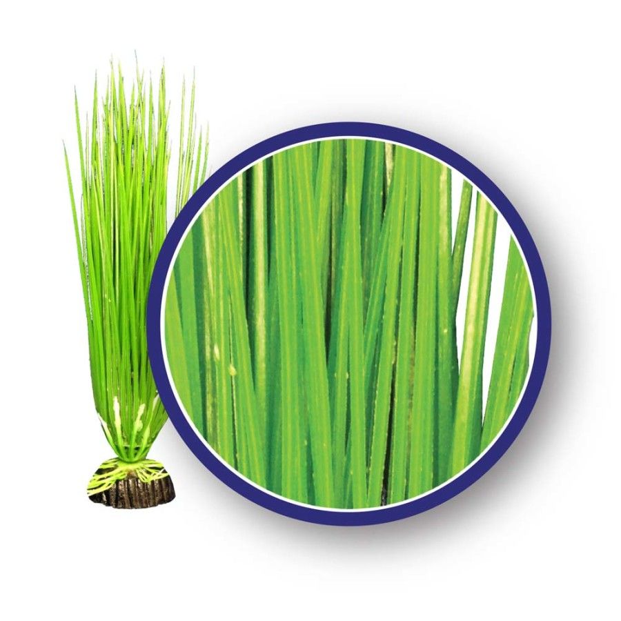 WECO Asian Hairgrass 18&quot;