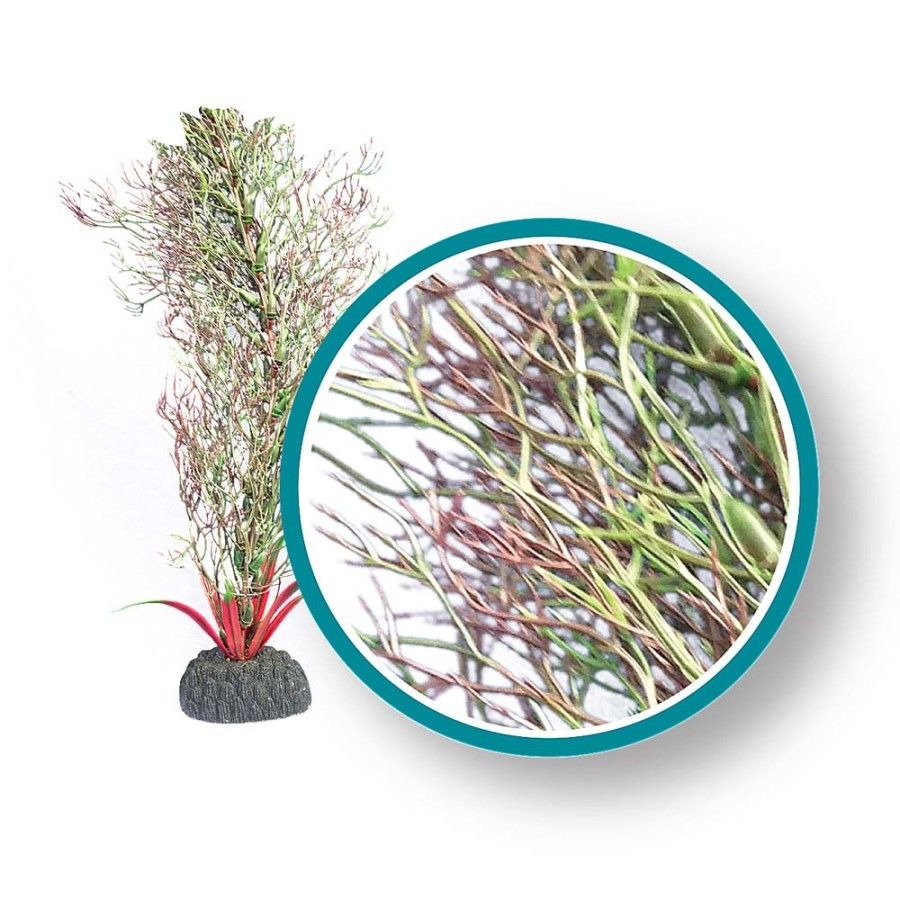 WECO Fine Branch Kelp 12&quot;